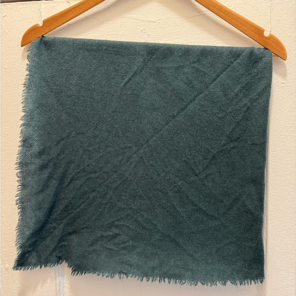 Everlane Cashmere Teal Fringed Scarf